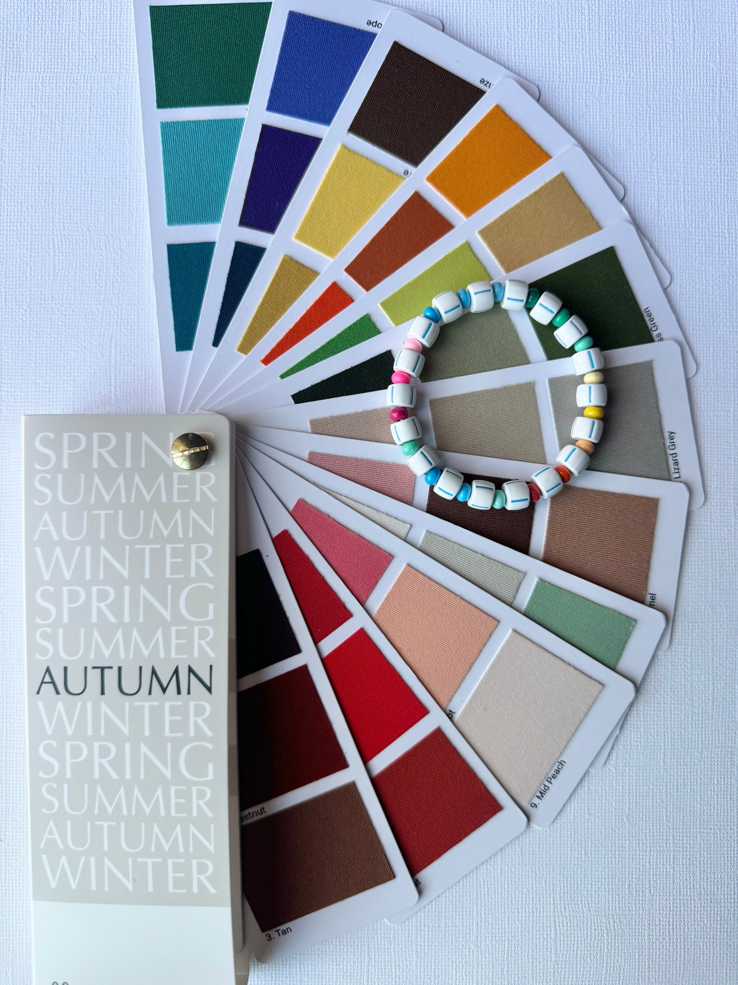 National Color Day Multicolored | Large Scale | Summer Winter Spring Autumn