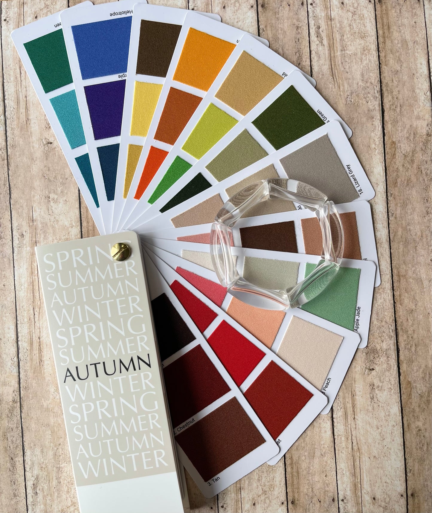 Transparent Lola | Summer Winter Autumn Spring
