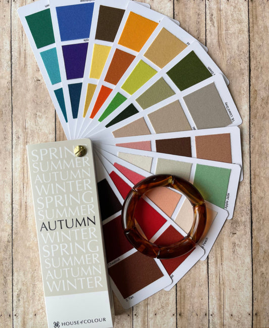 Tortoiseshell Lola | Spring / Autumn